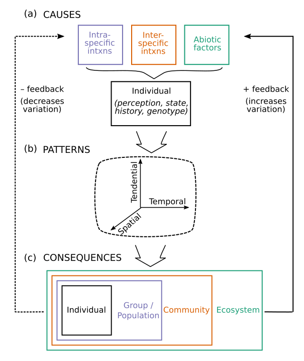 Diagram showing causes, patterns, and consequences of movement