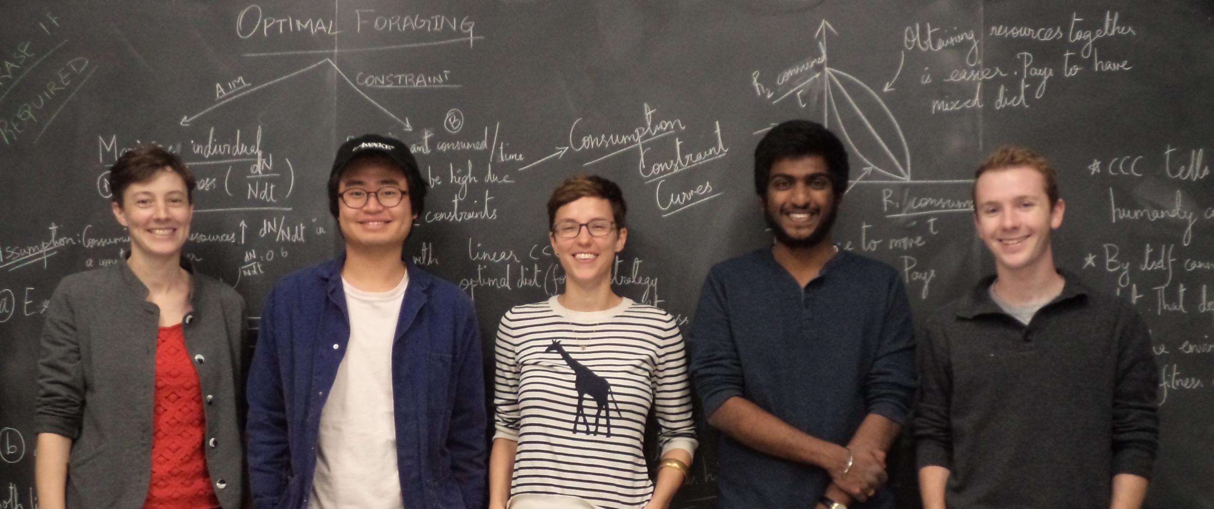 Five people standing in front of a chalk board